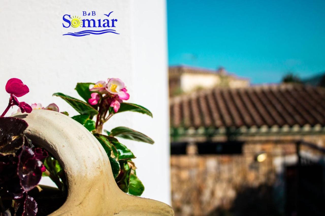 B&B Somiar ซาน เตโอโดโร ภายนอก รูปภาพ